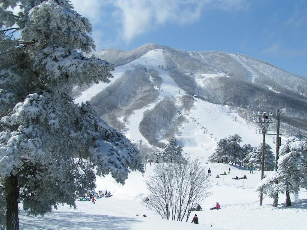 Madarao Elm Pension Iiyama Exterior foto